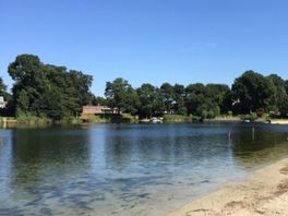 Blauwalg wint aan terrein in Drents zwemwater