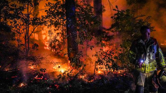 Natuurbrand bij Rhenen onder controle na uren blussen Home