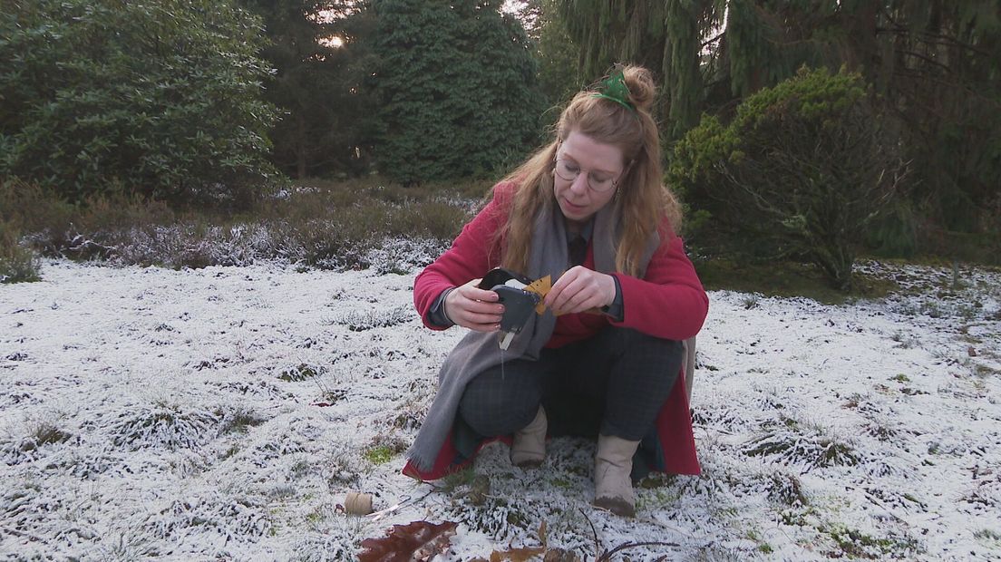 Unieke kerstversiering: zelfgemaakt met groen uit de tuin of het bos