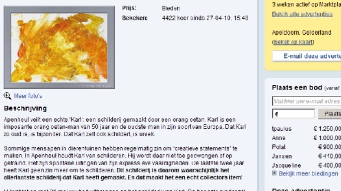 Bod voor schilderij van orang-oetan