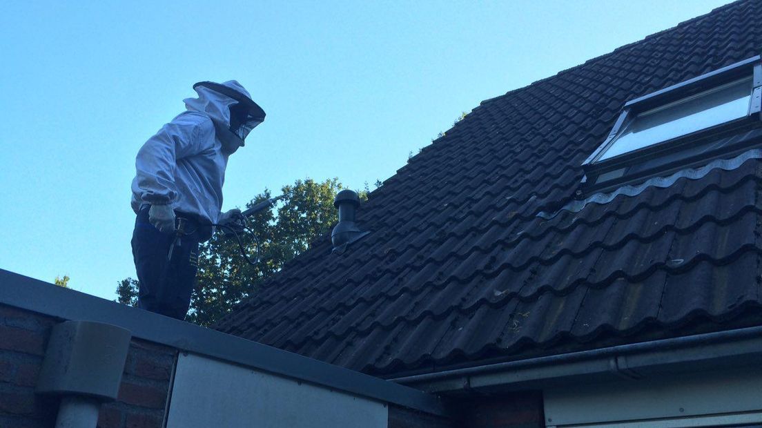 Ongediertebestrijder Hans Hoekstra verwijdert een wespennest (Rechten: Jeroen Kelderman/RTV Drenthe