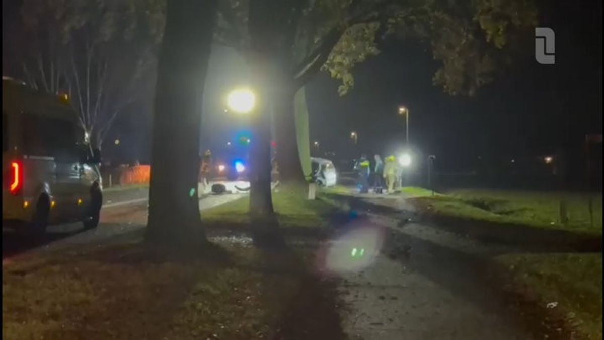 Auto botst tegen boom in Wanssum: bestuurder overleden