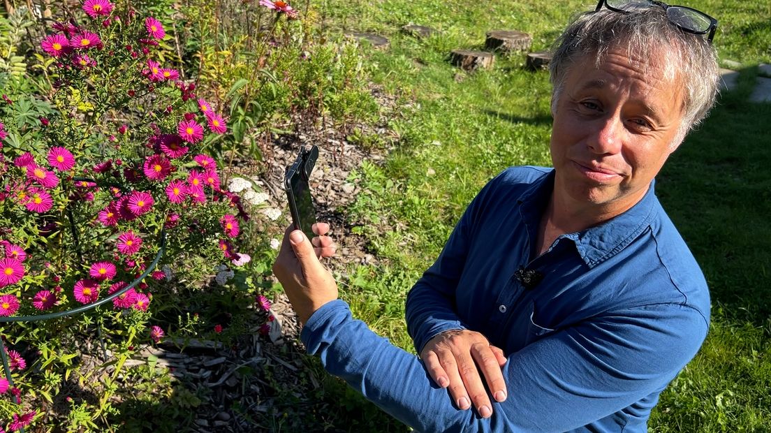 'Ook zonder een dure camera met macrolens kun je insecten van dichtbij fotograferen.'