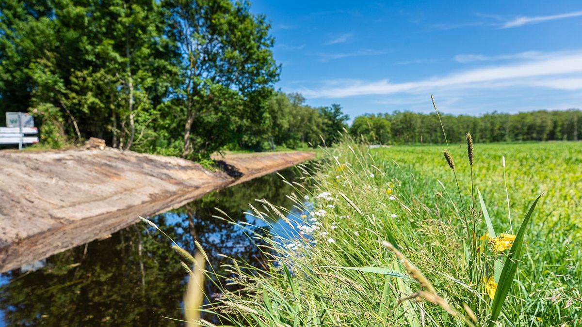 Waterhuishouding in polder De Foarútgong bij Oudehaske verbeterd