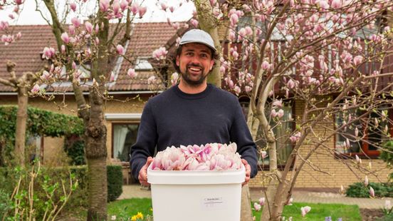 Magnoliablaadjes gezocht: dit bedrijf zet bloesem op azijn