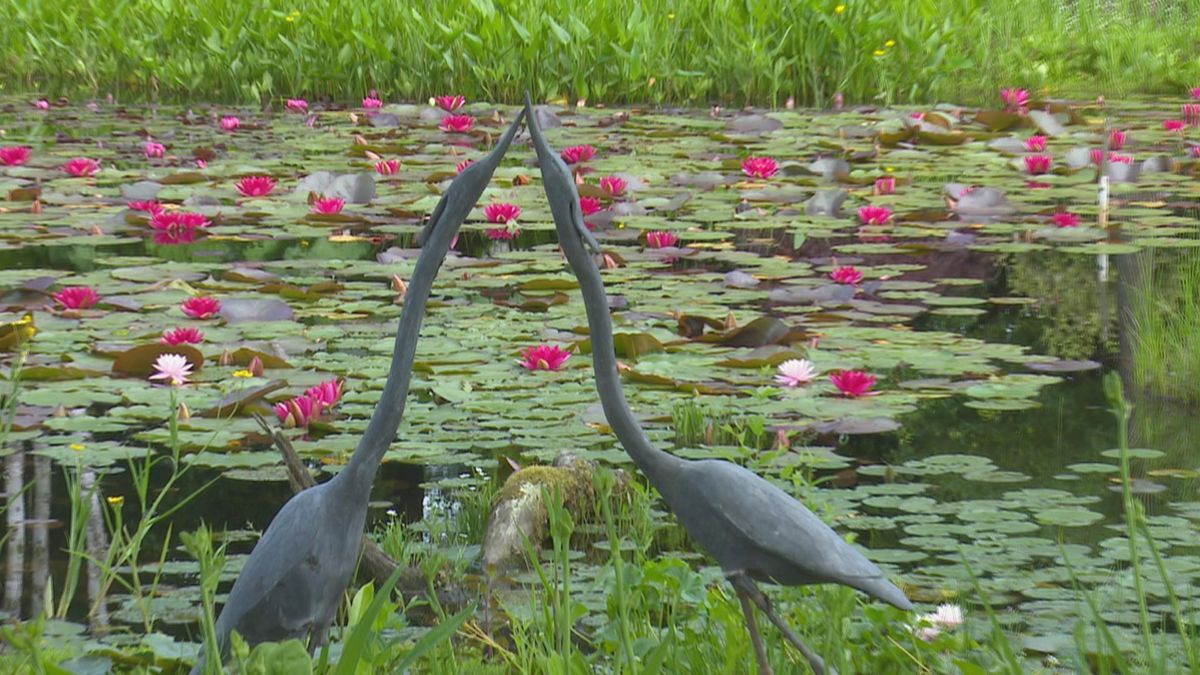 De Tuinen van Ada Hofman in Loozen zijn weer open: 