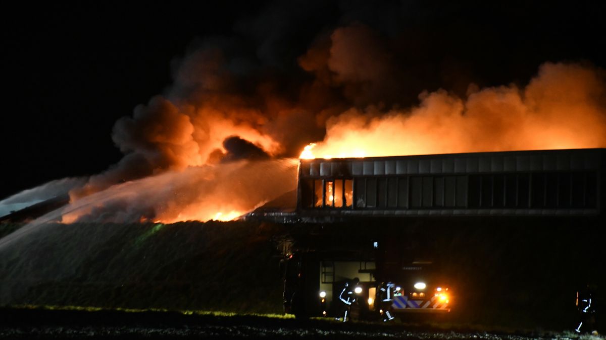 Massive Warehouse Fire in Colijnsplaat Sends Smoke Across Zeeland, N256 Closed Temporarily