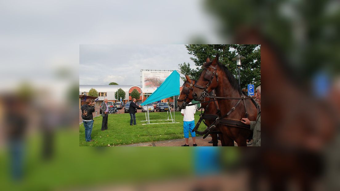 Foto's: Lenus van der Broek