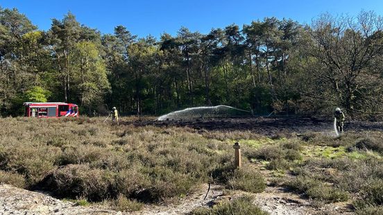Boeren kunnen brandweer helpen bij voorkomen natuurbranden: 'Iedereen is nodig' Home