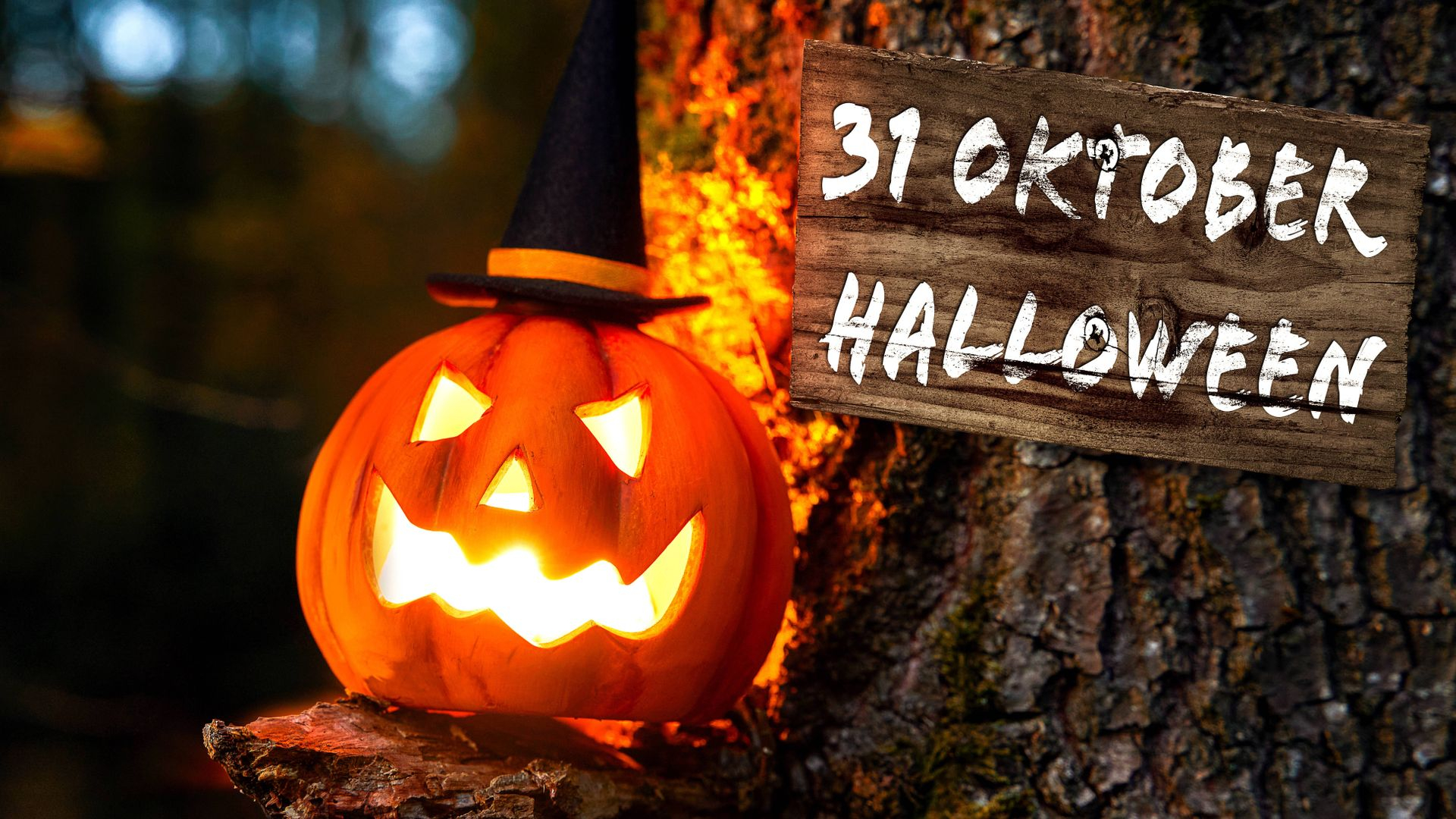 Pompoenen voor Halloween niet aan te slepen