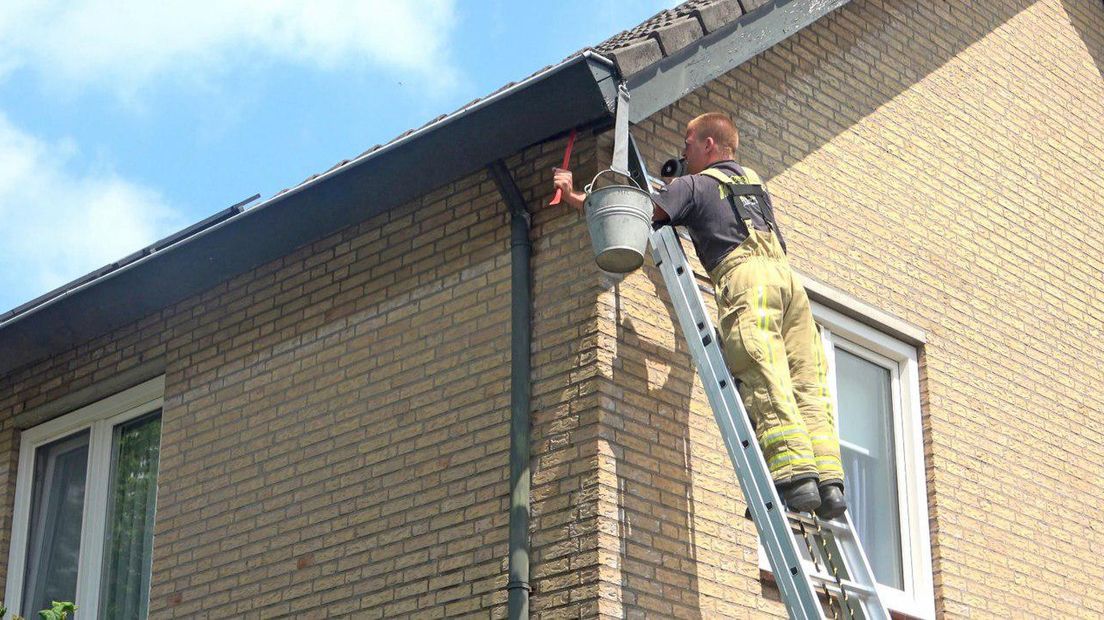 De brandweerman die de spreeuwen uit het dak probeert te halen (Rechten: RTV Drenthe/Persbureau Meter)