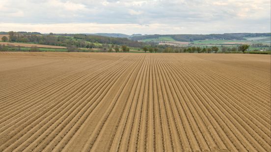 Provincie Limburg wil biologische landbouw verdubbelen: nodig om sector duurzaam te laten groeien Nieuws
