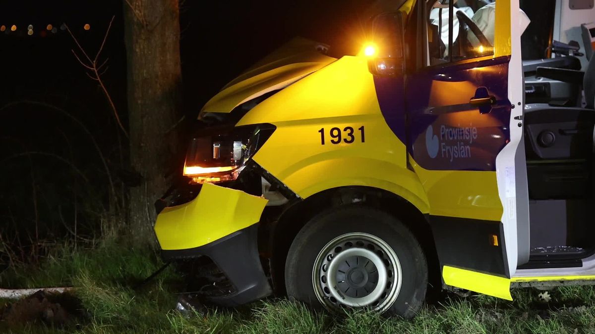 Bus botst tegen boom bij Hemelum