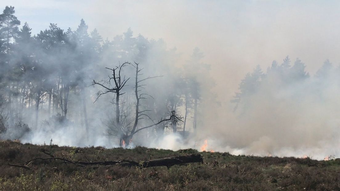 Natuur staat in brand bij Beuningen