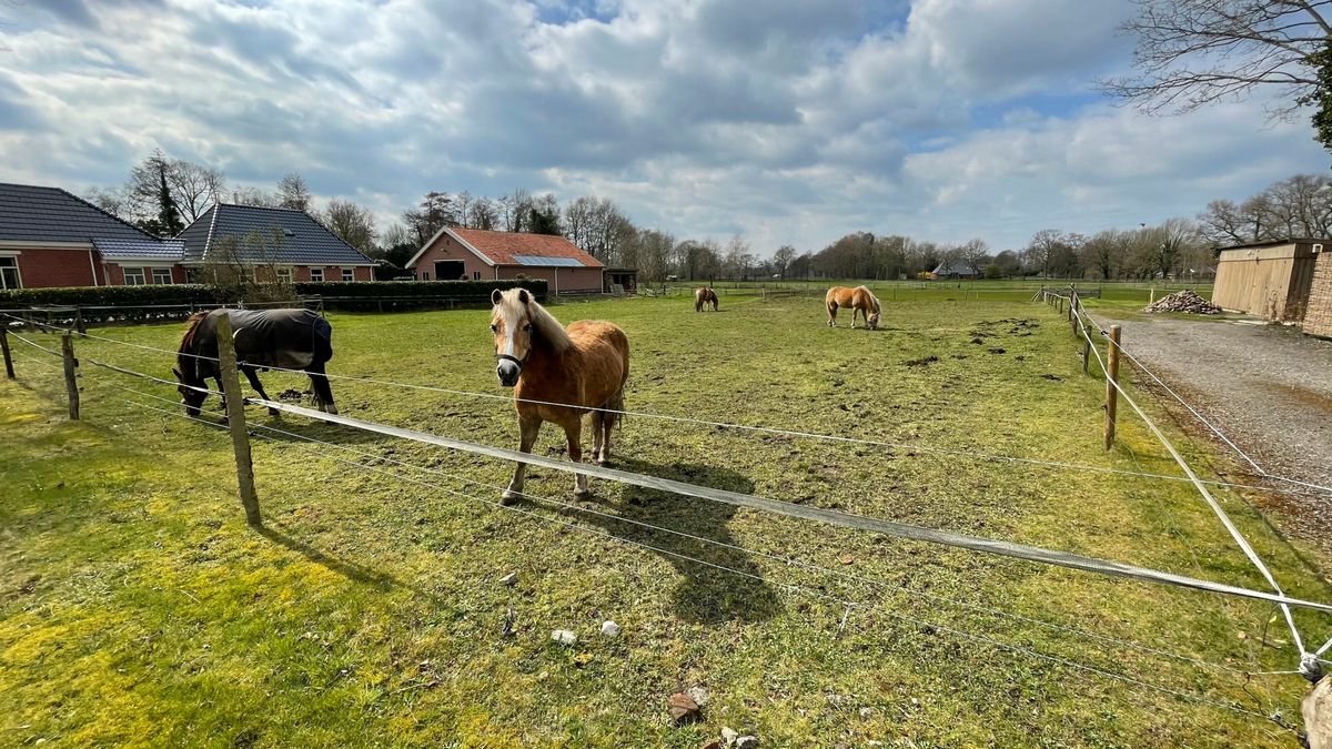 Bezwaren van tafel geveegd, Peize krijgt zo'n twintig levensloopbestendige woningen