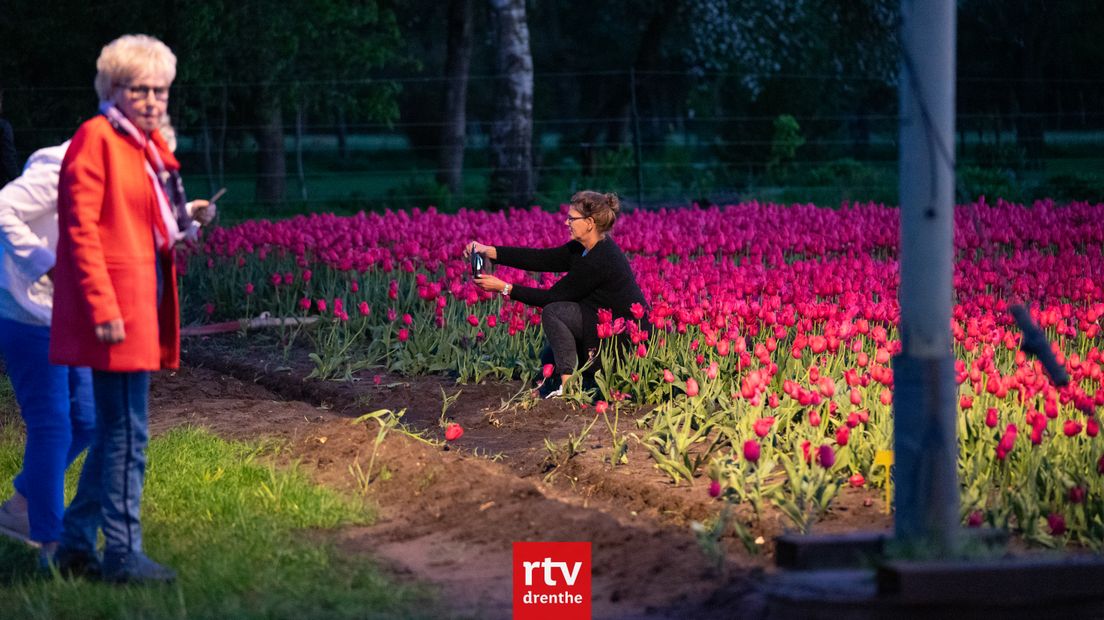 Tientallen mensen kwamen op de route af (Rechten: RTV Drenthe/Kim Stellingwerf)