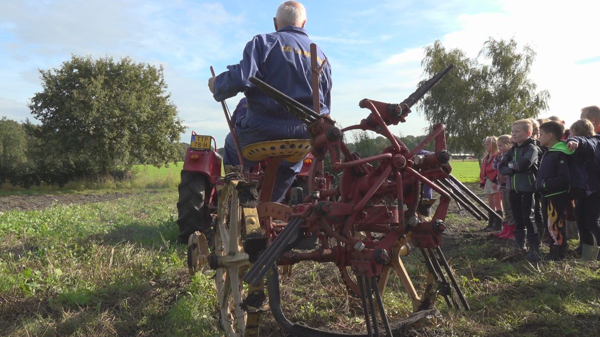 Aardappels rooien op ouderwetse wijze, in Luttenberg laten ze zien hoe dat vroeger ging