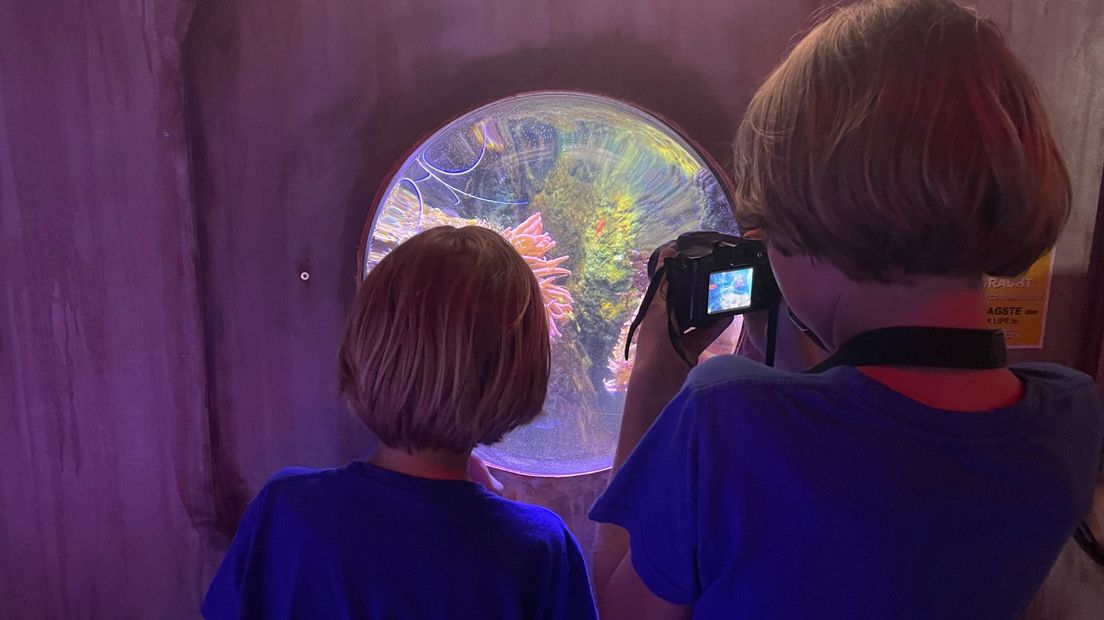 Autistische kinderen in Sea Life I