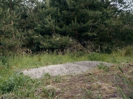 Drents Parlement: natuurbegraafplaats aanleggen blijft mogelijk