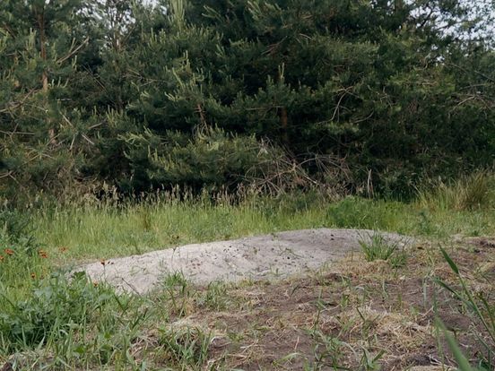 Drents Parlement: natuurbegraafplaats aanleggen blijft mogelijk