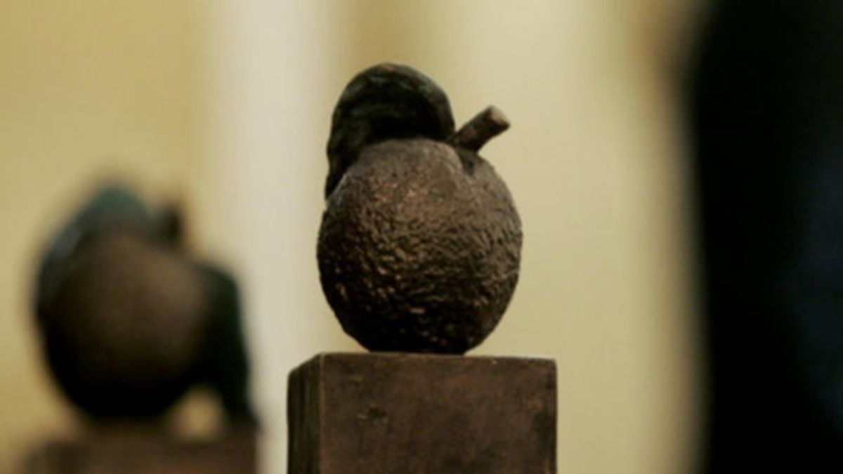 Appeltje van Oranje uitgereikt in Gasselternijveen