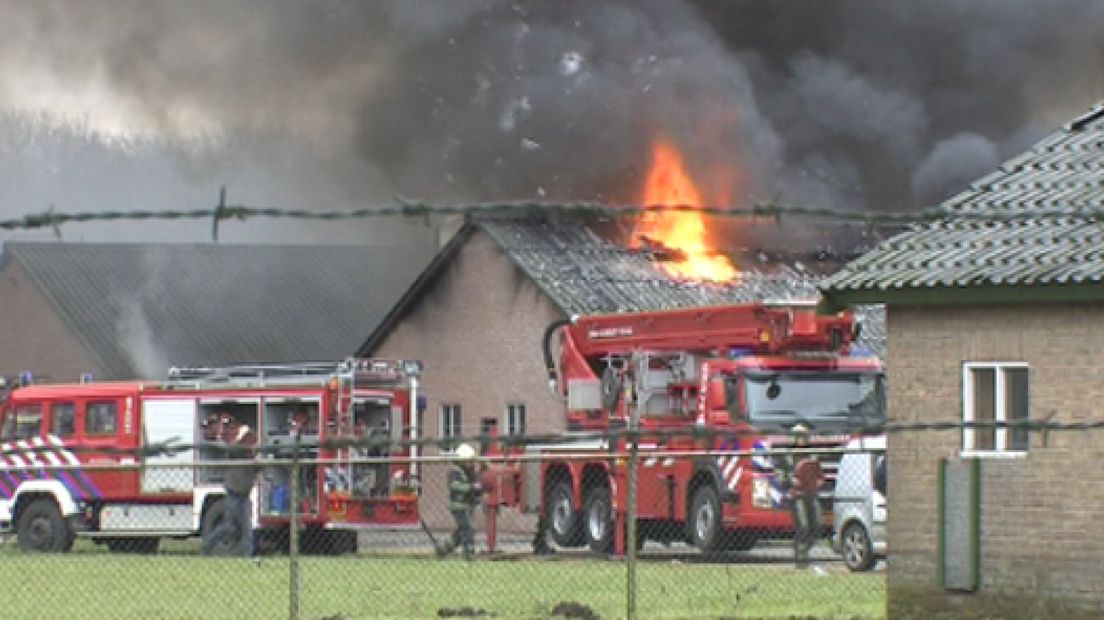 Duizenden kippen komen om bij brand