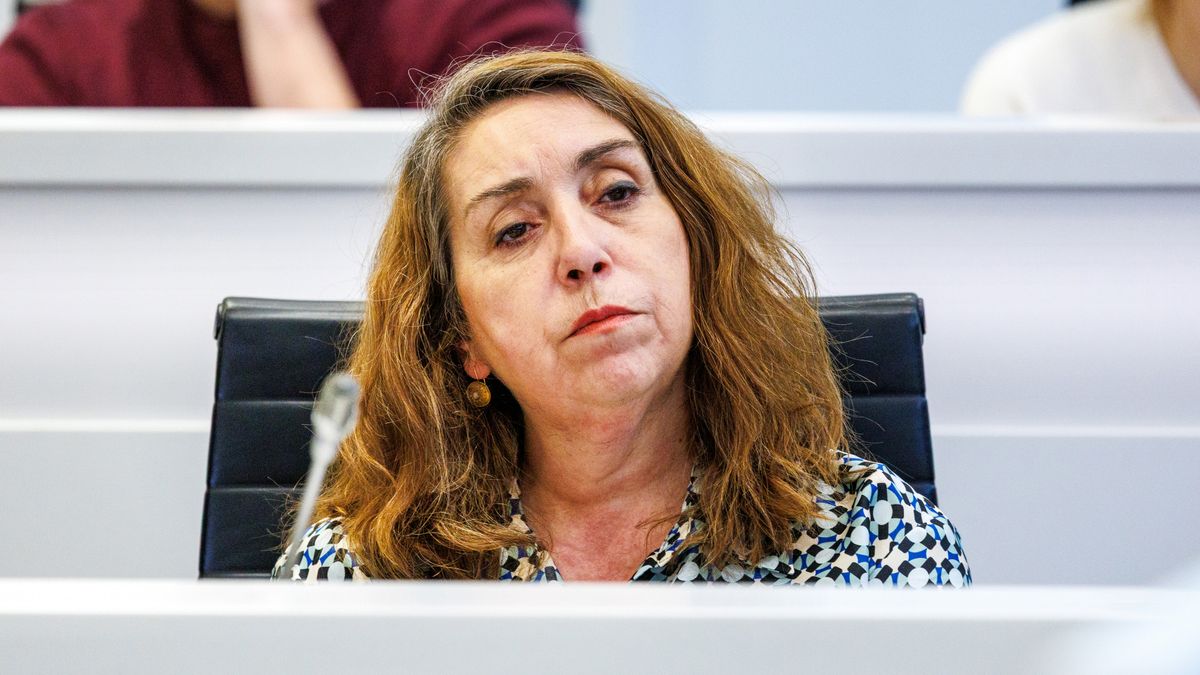 Machtsstrijd binnen Haagse Stadspartij: duo opent aanval op lijsttrekker Faid