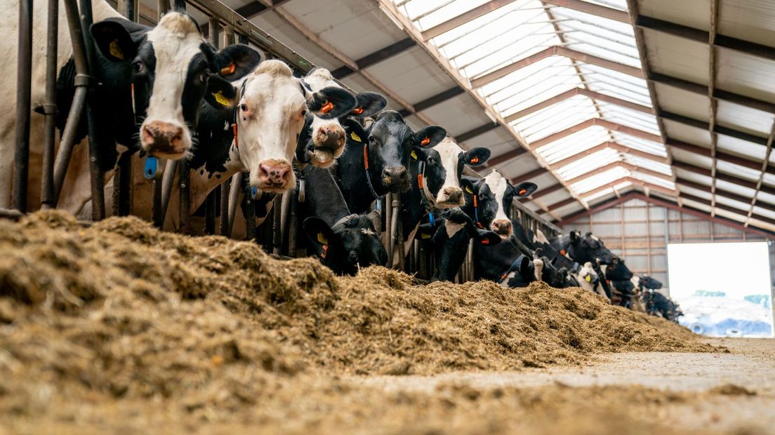 'Zonder locatiebepaling weet je nog niet waar de stallucht vandaan komt' (Rechten: Kim Stellingwerf/RTV Drenthe)