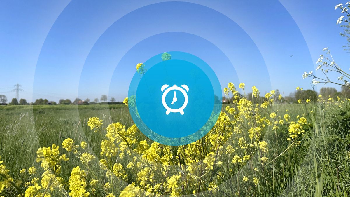 Goedemorgen! Veiling digitaal, Schonis naar 's-Hertogenbosch en libellen