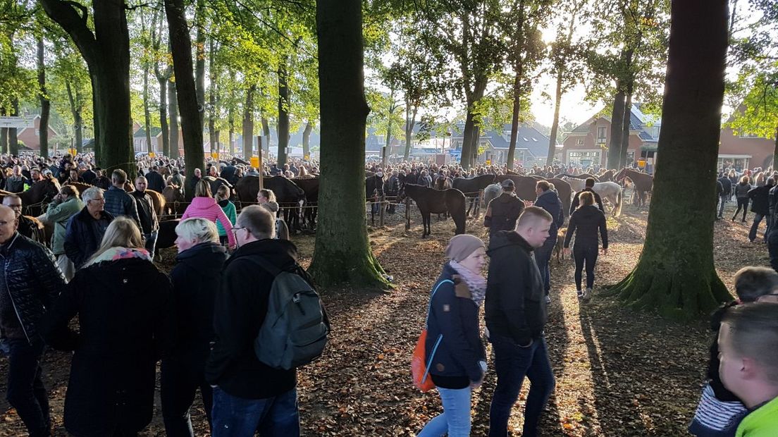 De Zuidlaardermarkt komt op gang (Rechten: RTV Drenthe / Robbert Oosting)