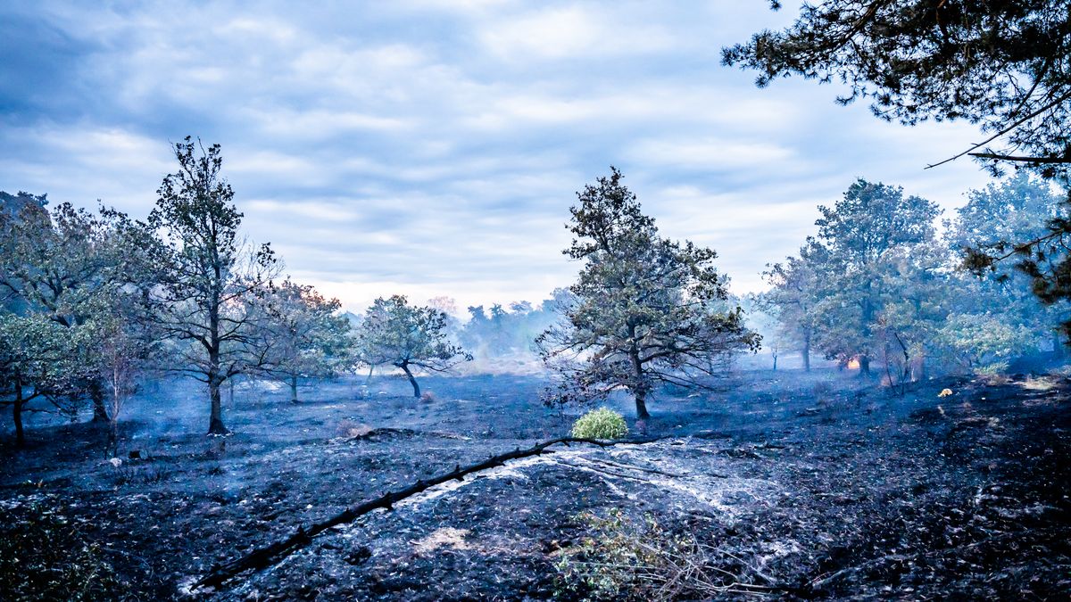 LIVEBLOG: Natuurbrand bij Venray stabiel, blushelikopters later de lucht in