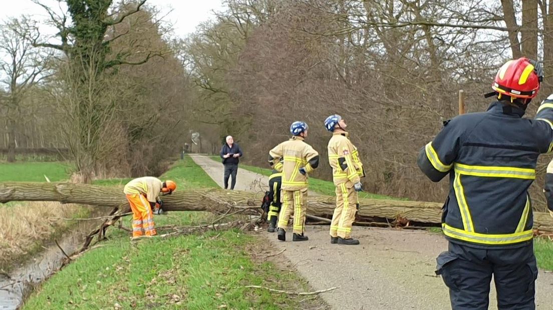 Aan de Breddendijk in Markelo waaide een boom om