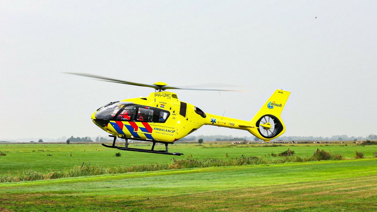 Koe loopt boer omver in De Wilgen, man overgebracht naar ziekenhuis