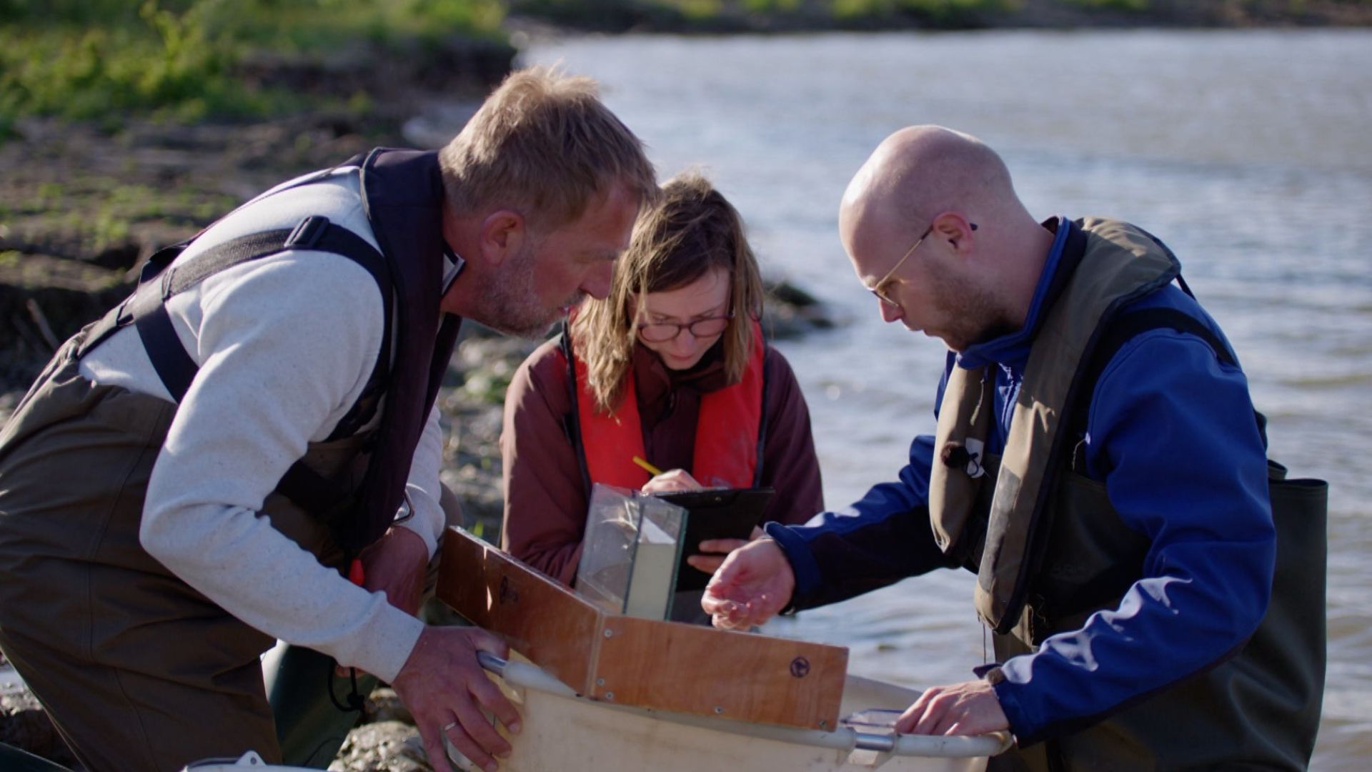 Rivierleven in de lift door meer ruimte, maar nog veel meer nodig