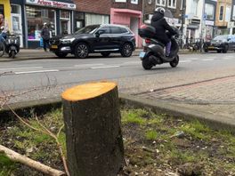 'Kale boel' en 'zonde: Utrechters niet blij met bomenkap Amsterdamsestraatweg