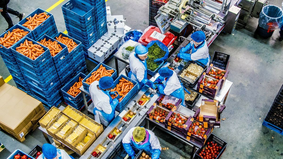 Failliete groente- en fruitgroothandel Jager Holland verdwijnt na 125 jaar uit Emmen