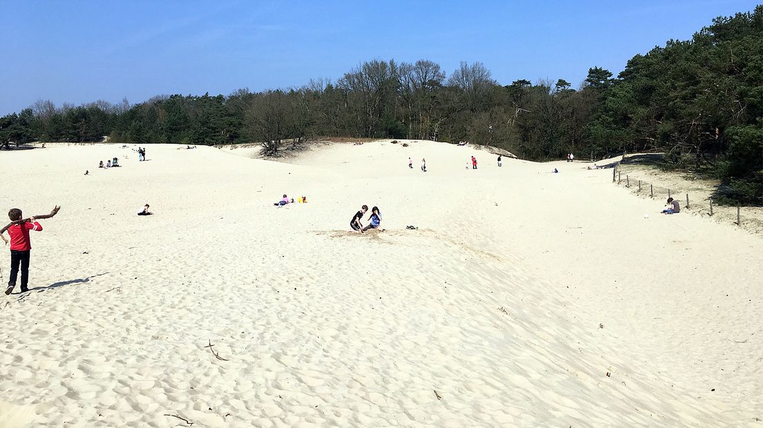 Recreatie op de Soesterduinen.