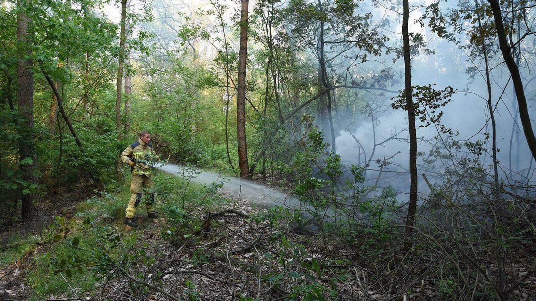 Hoeveel bos is afgebrand is nog niet duidelijk (Rechten: De Vries Media)