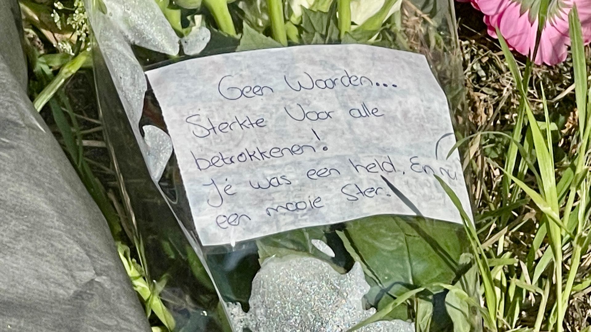 Schutter zorgboerderij naar Pieter Baan om geestelijke stoornis te