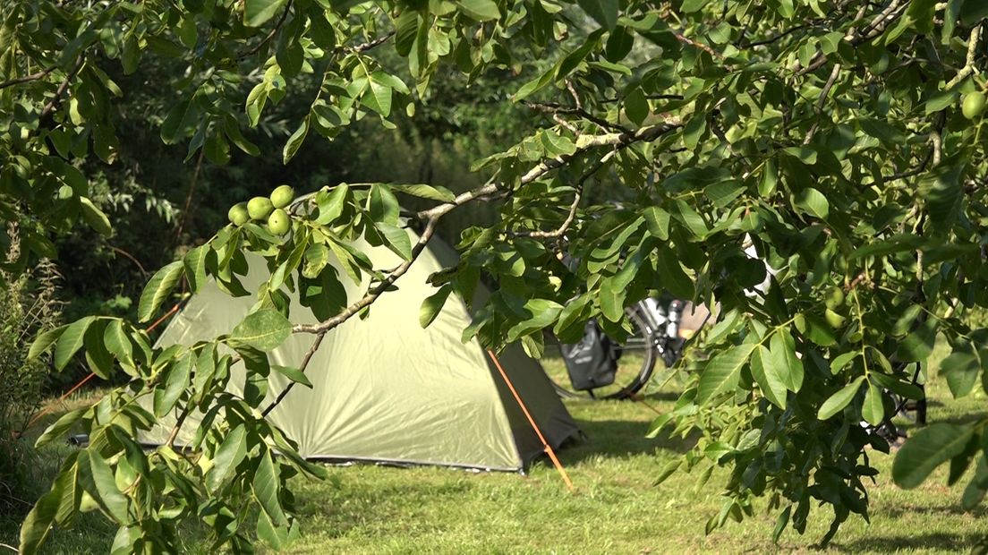 Airbnb heeft er een kampeerzusje bij: Campspace. Het onlineplatform biedt kampeerders de kans om bijvoorbeeld gewoon in iemands tuin te overnachten. Of om je tuin aan te bieden als kampeerplek. Saskia op de Weegh uit Nijbroek heeft plek voor één tent in haar boomgaard.