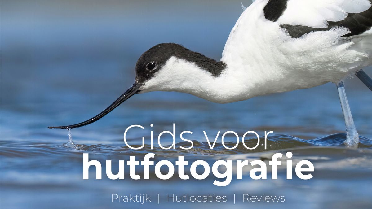 Het perfecte plaatje dankzij een hut