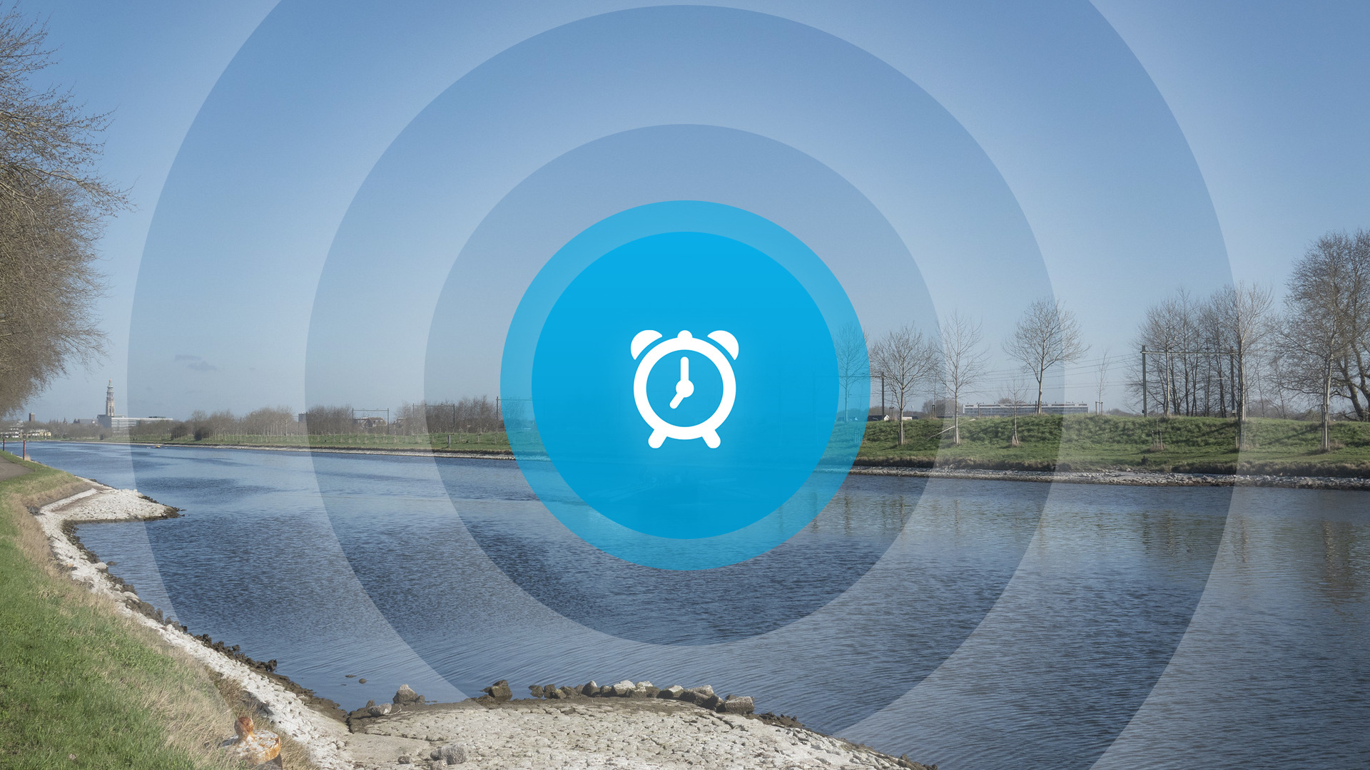 Goedemorgen! Paddentrek, glasvezel en Vlaketunnel 's nachts dicht