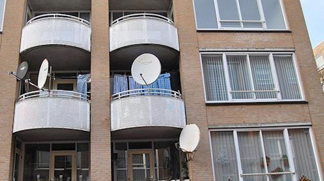 Schotelantennes