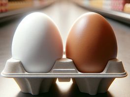 Het verschil tussen bruine en witte eieren? 5 weetjes over waarom het witte ei overblijft