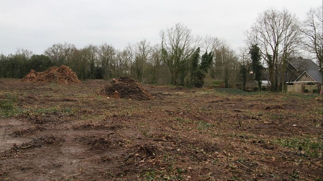 De kale vlakte op de plek waar ooit bomen stonden leidt tot boze reacties bij omwonenden