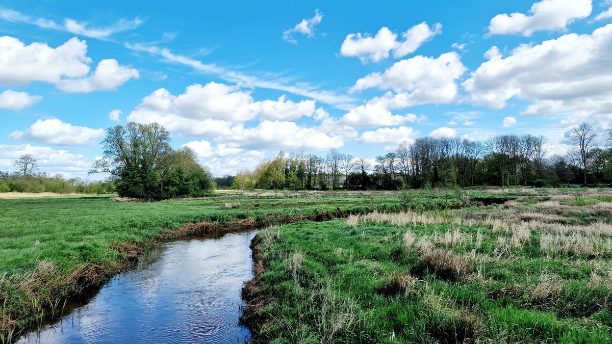 Op pad in de Drentse natuur