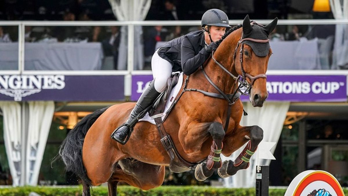 Beste springpaard ter wereld uit Harbrinkhoek is een toevalstreffer