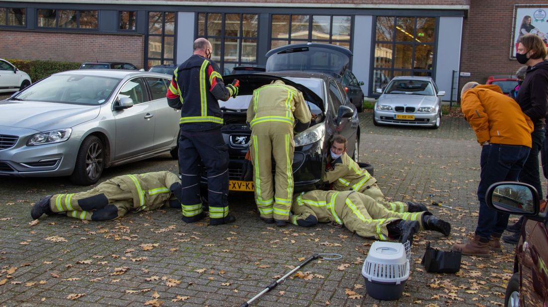 Hulpdiensten moesten vol aan de bak om de kat te bevrijden (Rechten: Emmen24Media)