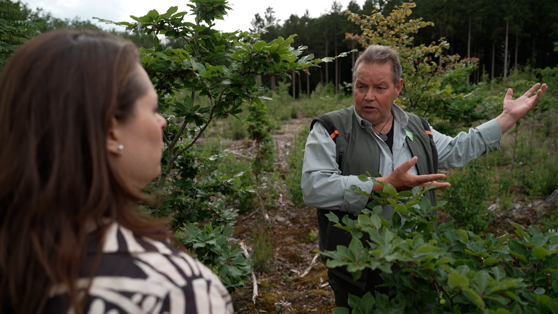 Boswachter Nico Arkes in de derde aflevering van Buitenkans