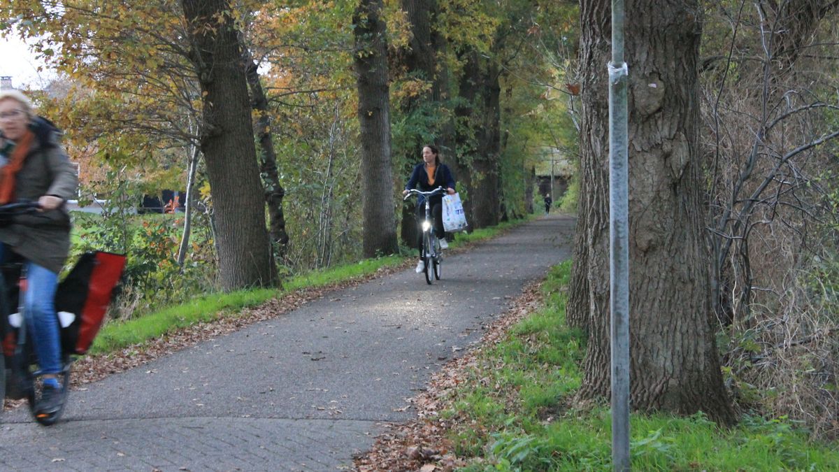 Bewoners tellen 40 fietsers per uur op veelbesproken fietspad: 'Dit vormt geen gevaar'